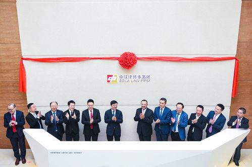 上海中联 重庆 律师事务所揭牌