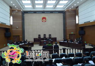 庭审直击 李庄辩护律师让龚刚模用普通话交流